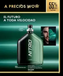 Catálogo Cyzone Página 33