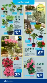 Aldi Süd Prospekt woche 16 Seite 20