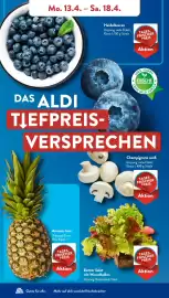 Aldi Süd Prospekt woche 16 Seite 4