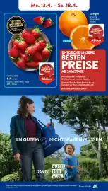 Aldi Süd Prospekt woche 16 Seite 5