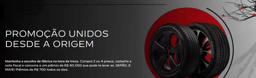 Catálogo Bridgestone Página 1