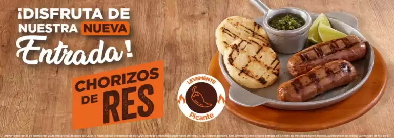 Catálogo Leños & Carbón Página 1