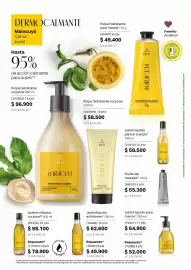 Catálogo Natura Página 126