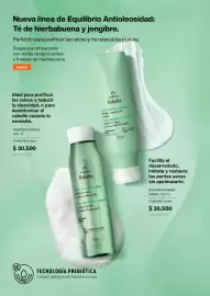 Catálogo Natura Página 163