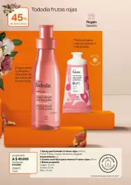 Catálogo Natura Página 27