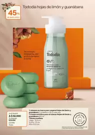 Catálogo Natura Página 29