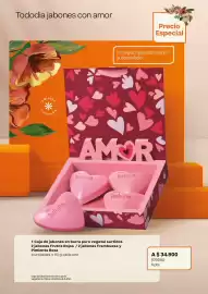 Catálogo Natura Página 30