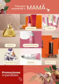 Catálogo Natura Página 5