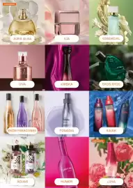 Catálogo Natura Página 52