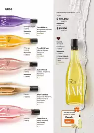 Catálogo Natura Página 63