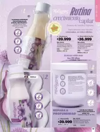 Catálogo Loguin Página 123