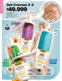 Catálogo Loguin Página 144