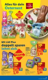 Lidl Flugblatt woche 14 Seite 11