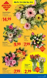 Lidl Flugblatt woche 14 Seite 15