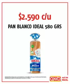 Catálogo OXXO Página 15