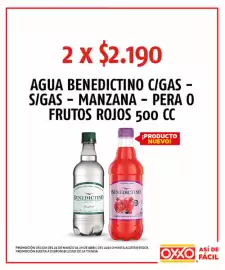 Catálogo OXXO Página 24