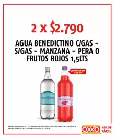 Catálogo OXXO Página 25