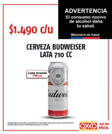 Catálogo OXXO Página 28