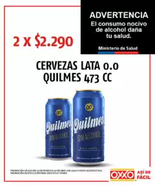 Catálogo OXXO Página 29