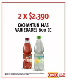 Catálogo OXXO Página 31