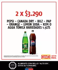 Catálogo OXXO Página 39