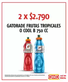 Catálogo OXXO Página 41