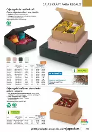 Catálogo Rajapack Página 305