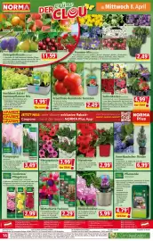 Norma Prospekt woche 15 Seite 16