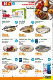 Metro akciós újság Oldal 5