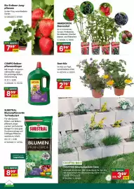 Lagerhaus Flugblatt Seite 2