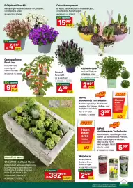 Lagerhaus Flugblatt Seite 3