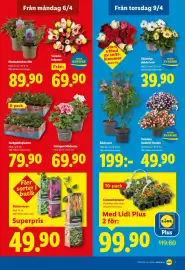 Lidl reklamblad vecka 15 Sida 20