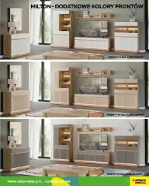 Abra gazetka Strona 21