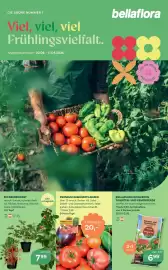 Bellaflora Flugblatt Seite 1