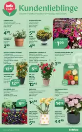 Bellaflora Flugblatt Seite 11