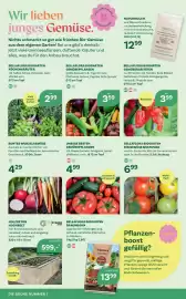 Bellaflora Flugblatt Seite 2