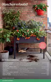 Bellaflora Flugblatt Seite 4