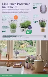 Bellaflora Flugblatt Seite 6