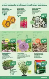 Bellaflora Flugblatt Seite 9