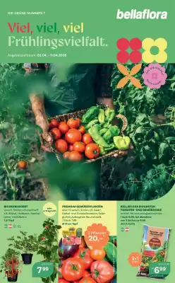 Bellaflora (gültig bis 11-04)