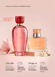 Catálogo Yanbal Página 20