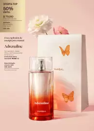 Catálogo Yanbal Página 22