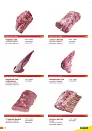 Catalog Metro Pagină 19