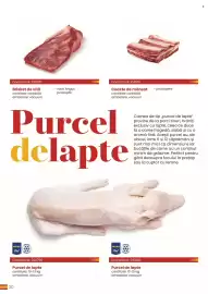 Catalog Metro Pagină 20