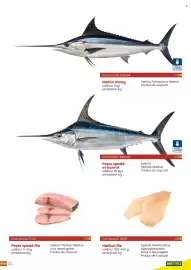 Catalog Metro Pagină 23