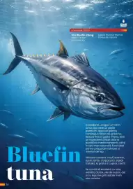 Catalog Metro Pagină 24