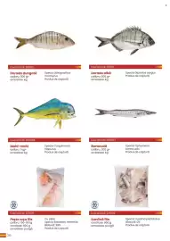 Catalog Metro Pagină 26