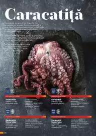 Catalog Metro Pagină 28