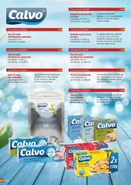 Catalog Metro Pagină 34