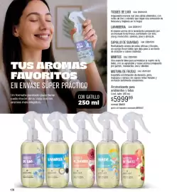 Catálogo Millanel Cosmética Página 176